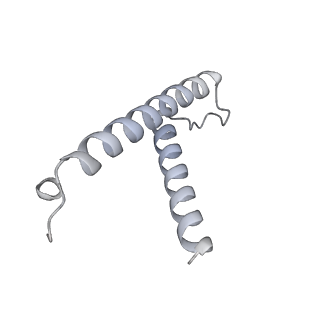 34403_8gzu_2T_v1-0
Cryo-EM structure of Tetrahymena thermophila respiratory Megacomplex MC (IV2+I+III2+II)2