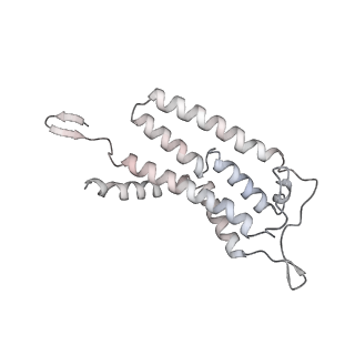 34403_8gzu_2b_v1-0
Cryo-EM structure of Tetrahymena thermophila respiratory Megacomplex MC (IV2+I+III2+II)2