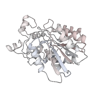 34403_8gzu_2e_v1-0
Cryo-EM structure of Tetrahymena thermophila respiratory Megacomplex MC (IV2+I+III2+II)2
