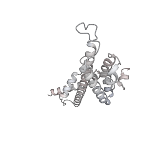 34403_8gzu_2g_v1-0
Cryo-EM structure of Tetrahymena thermophila respiratory Megacomplex MC (IV2+I+III2+II)2