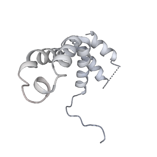 34403_8gzu_2h_v1-0
Cryo-EM structure of Tetrahymena thermophila respiratory Megacomplex MC (IV2+I+III2+II)2