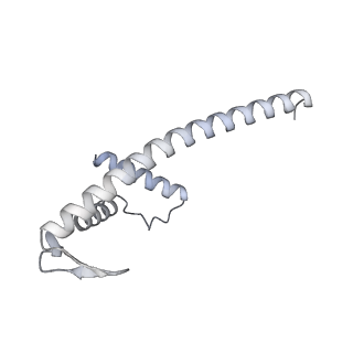 34403_8gzu_2i_v1-0
Cryo-EM structure of Tetrahymena thermophila respiratory Megacomplex MC (IV2+I+III2+II)2