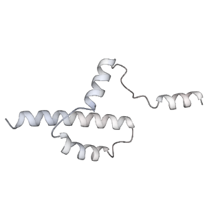34403_8gzu_2l_v1-0
Cryo-EM structure of Tetrahymena thermophila respiratory Megacomplex MC (IV2+I+III2+II)2