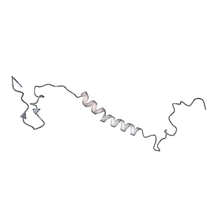 34403_8gzu_2m_v1-0
Cryo-EM structure of Tetrahymena thermophila respiratory Megacomplex MC (IV2+I+III2+II)2