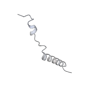 34403_8gzu_2o_v1-0
Cryo-EM structure of Tetrahymena thermophila respiratory Megacomplex MC (IV2+I+III2+II)2