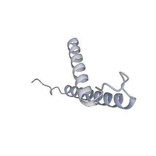 34403_8gzu_2t_v1-0
Cryo-EM structure of Tetrahymena thermophila respiratory Megacomplex MC (IV2+I+III2+II)2
