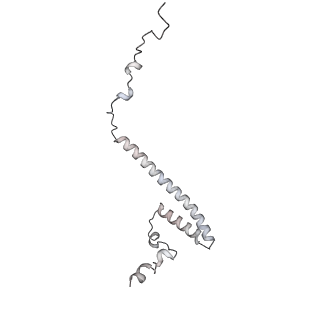 34403_8gzu_30_v1-0
Cryo-EM structure of Tetrahymena thermophila respiratory Megacomplex MC (IV2+I+III2+II)2