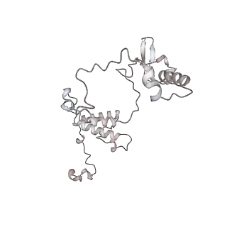 34403_8gzu_31_v1-0
Cryo-EM structure of Tetrahymena thermophila respiratory Megacomplex MC (IV2+I+III2+II)2