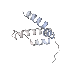 34403_8gzu_33_v1-0
Cryo-EM structure of Tetrahymena thermophila respiratory Megacomplex MC (IV2+I+III2+II)2