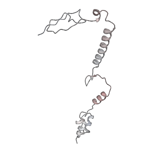 34403_8gzu_34_v1-0
Cryo-EM structure of Tetrahymena thermophila respiratory Megacomplex MC (IV2+I+III2+II)2