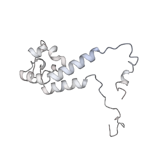 34403_8gzu_36_v1-0
Cryo-EM structure of Tetrahymena thermophila respiratory Megacomplex MC (IV2+I+III2+II)2