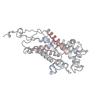 34403_8gzu_37_v1-0
Cryo-EM structure of Tetrahymena thermophila respiratory Megacomplex MC (IV2+I+III2+II)2