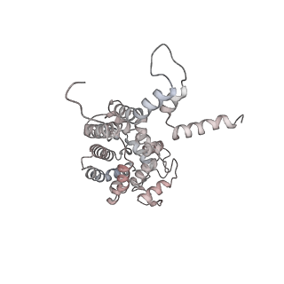 34403_8gzu_39_v1-0
Cryo-EM structure of Tetrahymena thermophila respiratory Megacomplex MC (IV2+I+III2+II)2