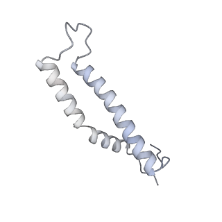 34403_8gzu_3T_v1-0
Cryo-EM structure of Tetrahymena thermophila respiratory Megacomplex MC (IV2+I+III2+II)2
