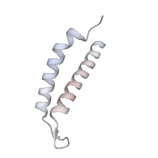 34403_8gzu_44_v1-0
Cryo-EM structure of Tetrahymena thermophila respiratory Megacomplex MC (IV2+I+III2+II)2