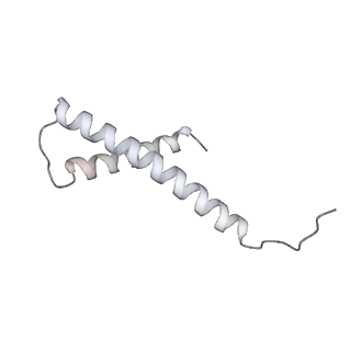 34403_8gzu_45_v1-0
Cryo-EM structure of Tetrahymena thermophila respiratory Megacomplex MC (IV2+I+III2+II)2