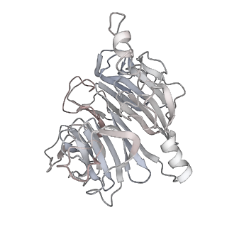 34403_8gzu_46_v1-0
Cryo-EM structure of Tetrahymena thermophila respiratory Megacomplex MC (IV2+I+III2+II)2