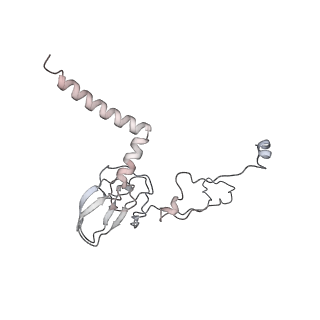 34403_8gzu_47_v1-0
Cryo-EM structure of Tetrahymena thermophila respiratory Megacomplex MC (IV2+I+III2+II)2