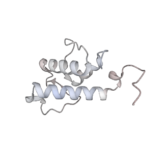 34403_8gzu_48_v1-0
Cryo-EM structure of Tetrahymena thermophila respiratory Megacomplex MC (IV2+I+III2+II)2