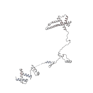 34403_8gzu_49_v1-0
Cryo-EM structure of Tetrahymena thermophila respiratory Megacomplex MC (IV2+I+III2+II)2
