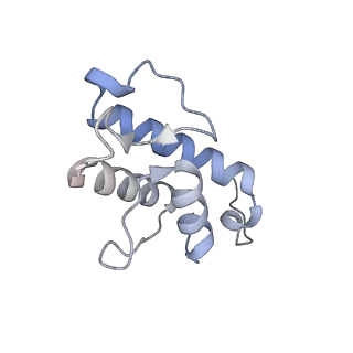 34403_8gzu_4A_v1-0
Cryo-EM structure of Tetrahymena thermophila respiratory Megacomplex MC (IV2+I+III2+II)2