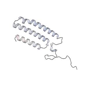 34403_8gzu_4L_v1-0
Cryo-EM structure of Tetrahymena thermophila respiratory Megacomplex MC (IV2+I+III2+II)2