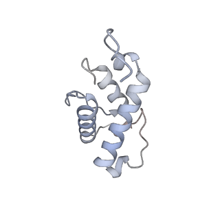 34403_8gzu_4a_v1-0
Cryo-EM structure of Tetrahymena thermophila respiratory Megacomplex MC (IV2+I+III2+II)2