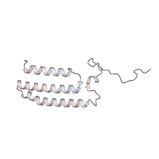 34403_8gzu_4l_v1-0
Cryo-EM structure of Tetrahymena thermophila respiratory Megacomplex MC (IV2+I+III2+II)2