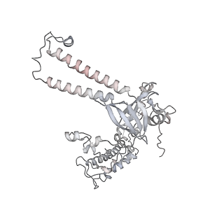 34403_8gzu_55_v1-0
Cryo-EM structure of Tetrahymena thermophila respiratory Megacomplex MC (IV2+I+III2+II)2