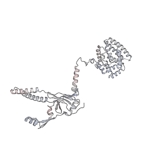 34403_8gzu_56_v1-0
Cryo-EM structure of Tetrahymena thermophila respiratory Megacomplex MC (IV2+I+III2+II)2