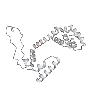 34403_8gzu_57_v1-0
Cryo-EM structure of Tetrahymena thermophila respiratory Megacomplex MC (IV2+I+III2+II)2