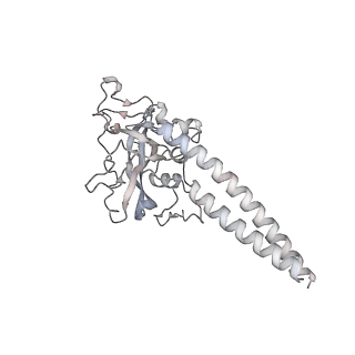 34403_8gzu_58_v1-0
Cryo-EM structure of Tetrahymena thermophila respiratory Megacomplex MC (IV2+I+III2+II)2