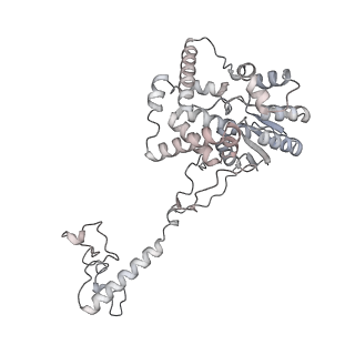 34403_8gzu_59_v1-0
Cryo-EM structure of Tetrahymena thermophila respiratory Megacomplex MC (IV2+I+III2+II)2