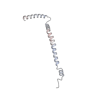 34403_8gzu_5B_v1-0
Cryo-EM structure of Tetrahymena thermophila respiratory Megacomplex MC (IV2+I+III2+II)2