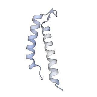 34403_8gzu_5T_v1-0
Cryo-EM structure of Tetrahymena thermophila respiratory Megacomplex MC (IV2+I+III2+II)2
