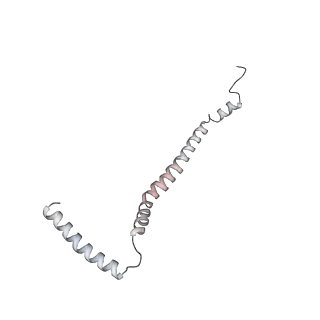 34403_8gzu_5b_v1-0
Cryo-EM structure of Tetrahymena thermophila respiratory Megacomplex MC (IV2+I+III2+II)2