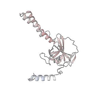 34403_8gzu_60_v1-0
Cryo-EM structure of Tetrahymena thermophila respiratory Megacomplex MC (IV2+I+III2+II)2