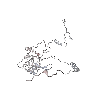 34403_8gzu_61_v1-0
Cryo-EM structure of Tetrahymena thermophila respiratory Megacomplex MC (IV2+I+III2+II)2
