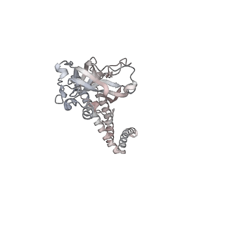 34403_8gzu_62_v1-0
Cryo-EM structure of Tetrahymena thermophila respiratory Megacomplex MC (IV2+I+III2+II)2