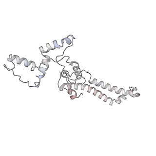 34403_8gzu_63_v1-0
Cryo-EM structure of Tetrahymena thermophila respiratory Megacomplex MC (IV2+I+III2+II)2