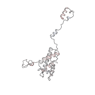 34403_8gzu_65_v1-0
Cryo-EM structure of Tetrahymena thermophila respiratory Megacomplex MC (IV2+I+III2+II)2