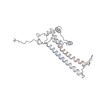 34403_8gzu_66_v1-0
Cryo-EM structure of Tetrahymena thermophila respiratory Megacomplex MC (IV2+I+III2+II)2