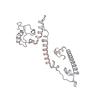 34403_8gzu_67_v1-0
Cryo-EM structure of Tetrahymena thermophila respiratory Megacomplex MC (IV2+I+III2+II)2