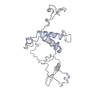 34403_8gzu_6B_v1-0
Cryo-EM structure of Tetrahymena thermophila respiratory Megacomplex MC (IV2+I+III2+II)2