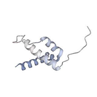 34403_8gzu_6L_v1-0
Cryo-EM structure of Tetrahymena thermophila respiratory Megacomplex MC (IV2+I+III2+II)2