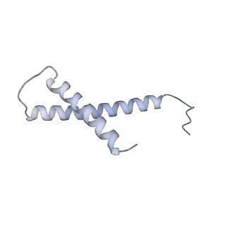 34403_8gzu_6T_v1-0
Cryo-EM structure of Tetrahymena thermophila respiratory Megacomplex MC (IV2+I+III2+II)2