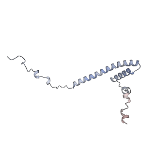 34403_8gzu_6a_v1-0
Cryo-EM structure of Tetrahymena thermophila respiratory Megacomplex MC (IV2+I+III2+II)2