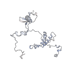 34403_8gzu_6b_v1-0
Cryo-EM structure of Tetrahymena thermophila respiratory Megacomplex MC (IV2+I+III2+II)2