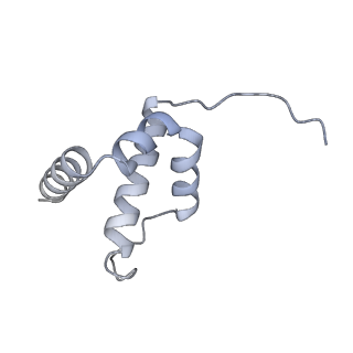 34403_8gzu_6l_v1-0
Cryo-EM structure of Tetrahymena thermophila respiratory Megacomplex MC (IV2+I+III2+II)2