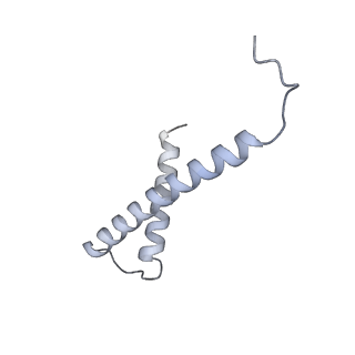34403_8gzu_6t_v1-0
Cryo-EM structure of Tetrahymena thermophila respiratory Megacomplex MC (IV2+I+III2+II)2